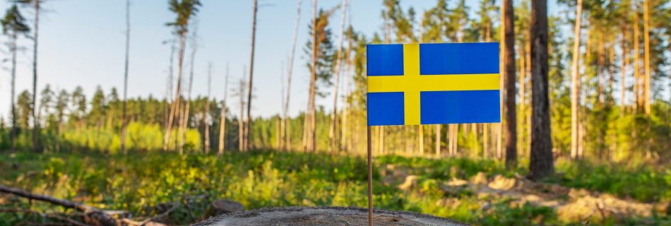 Dejting appar i Sverige